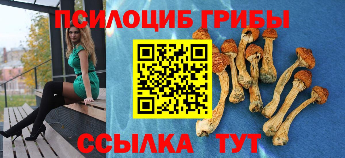 Псилоцибиновые грибы мицелий Балашов
