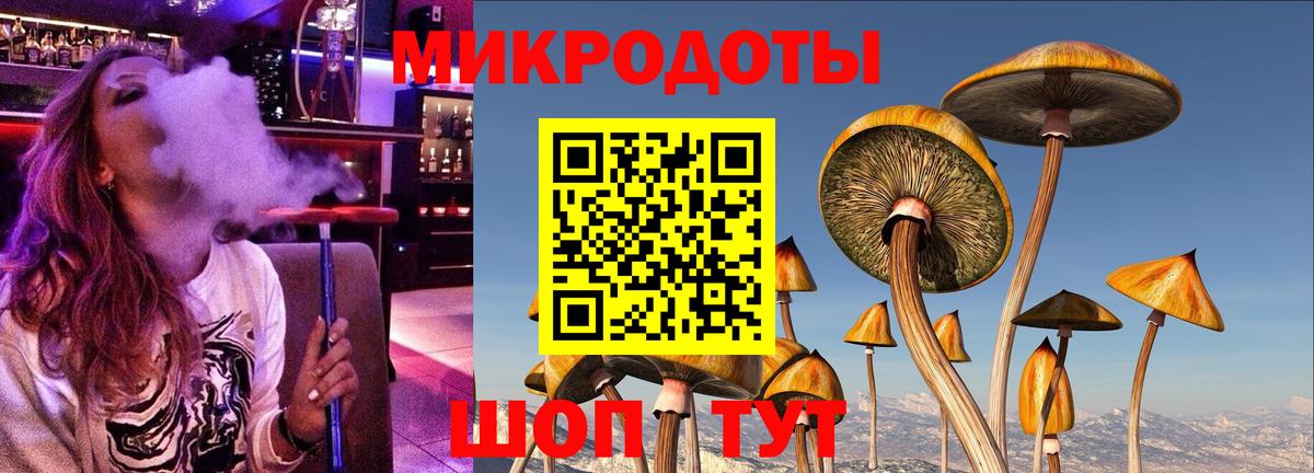 Псилоцибиновые грибы прущие грибы  Вход с VPN  Балашов 